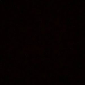 Meet your Posher, Audrey